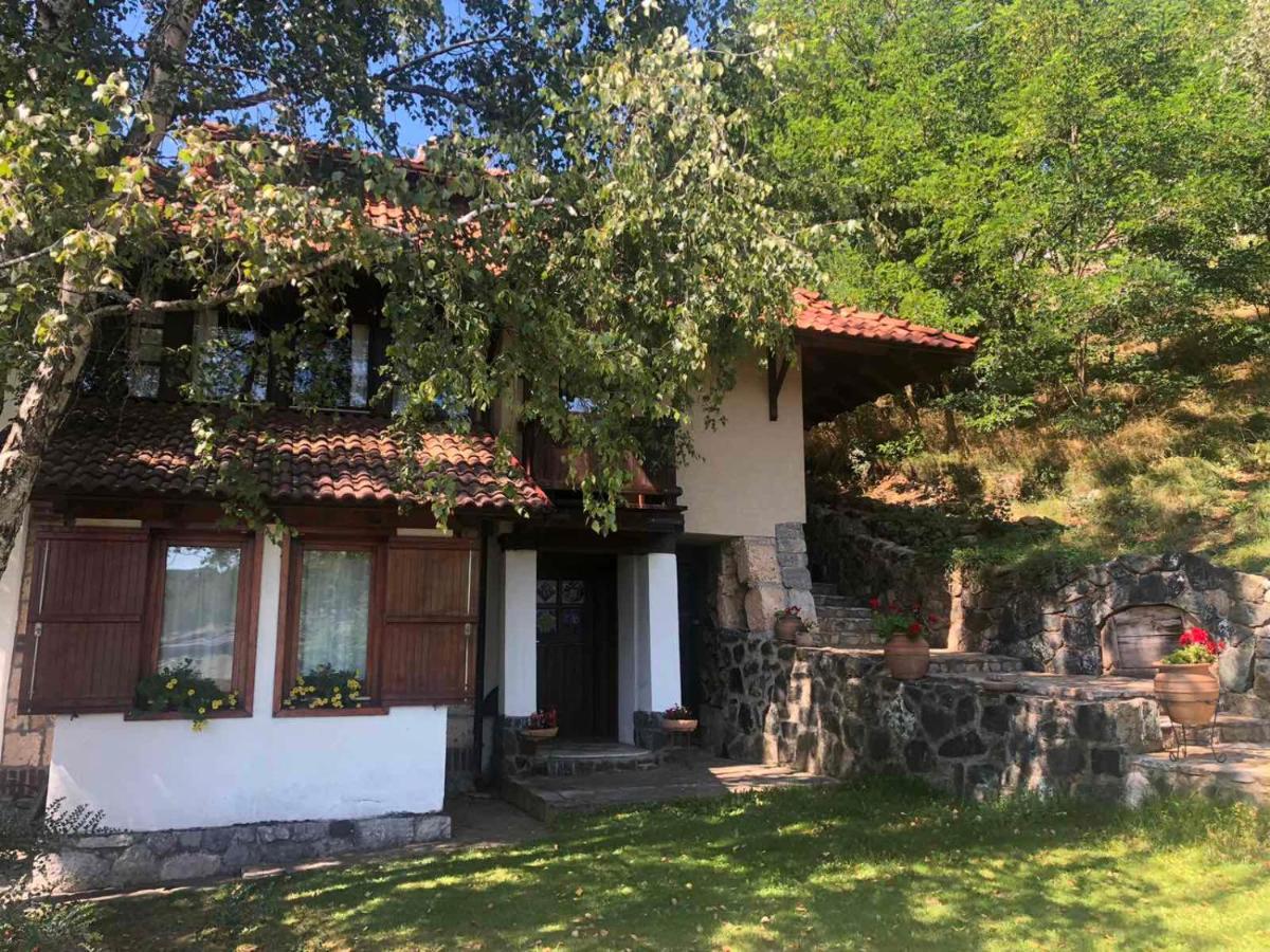 Apartments Carevo Polje Zlatibor Kültér fotó