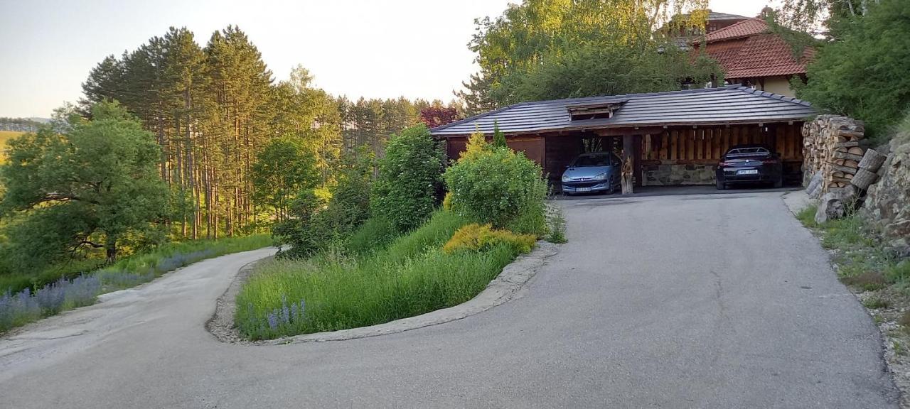 Apartments Carevo Polje Zlatibor Kültér fotó