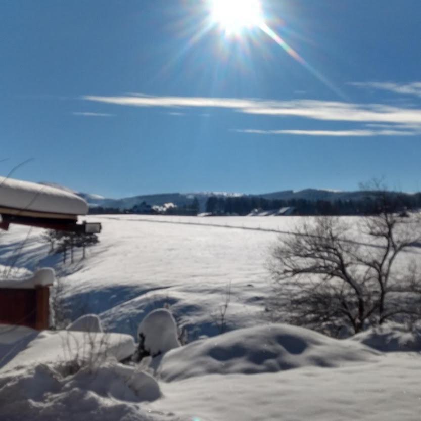Apartments Carevo Polje Zlatibor Kültér fotó