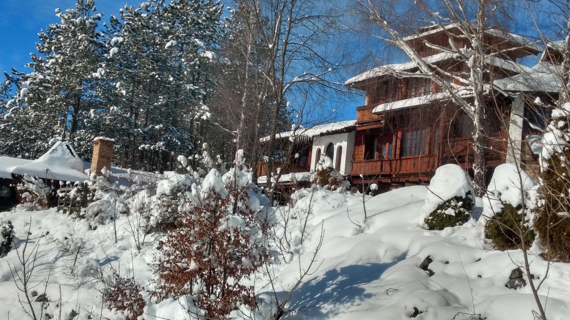 Apartments Carevo Polje Zlatibor Kültér fotó
