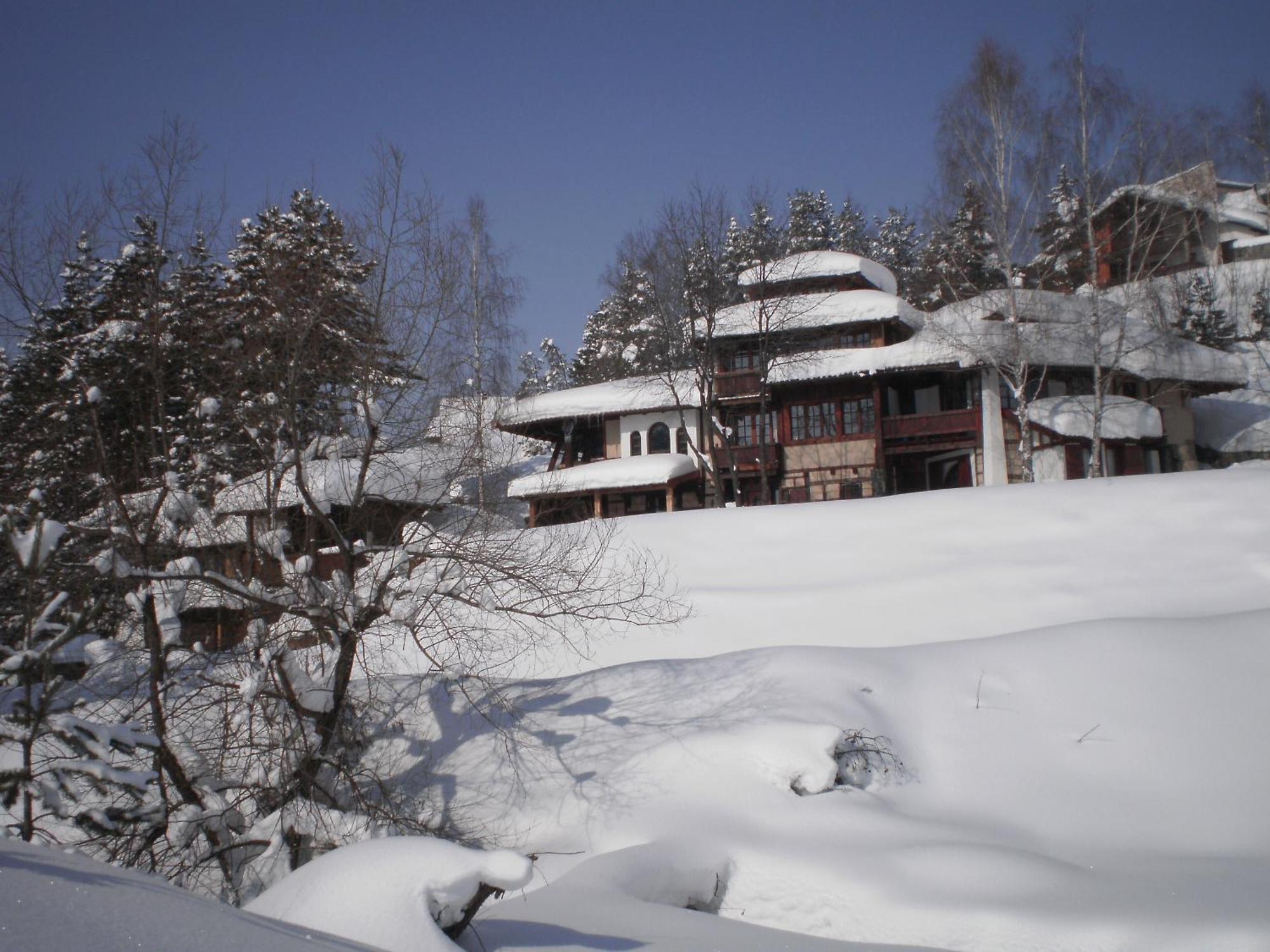 Apartments Carevo Polje Zlatibor Kültér fotó