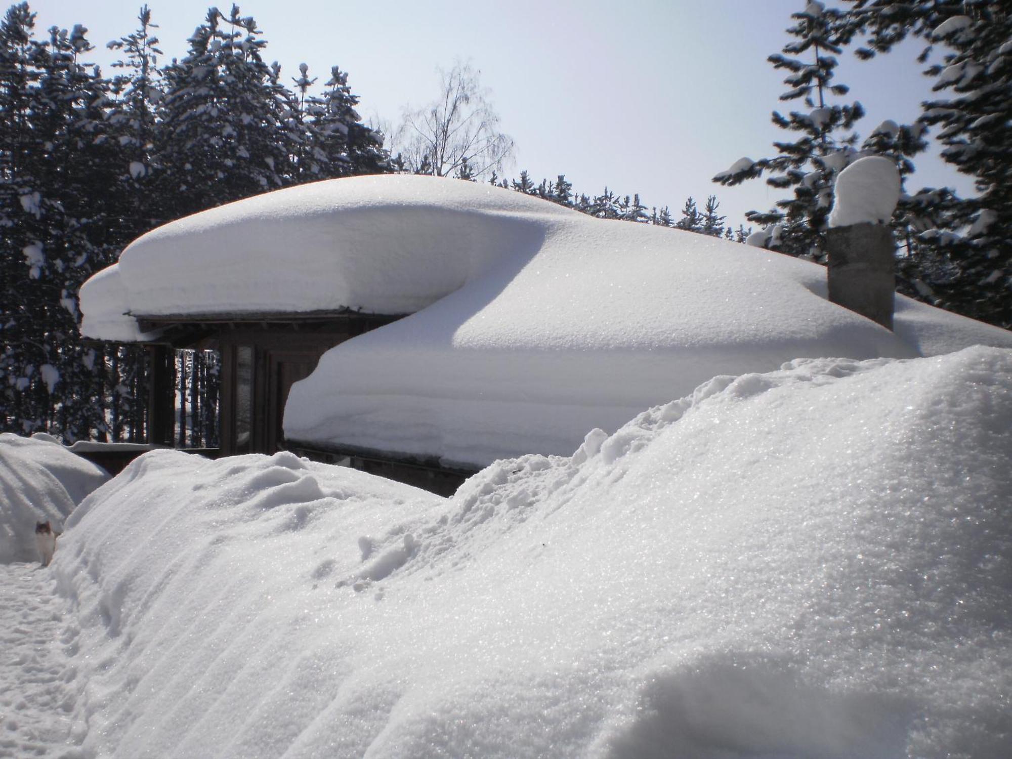 Apartments Carevo Polje Zlatibor Kültér fotó