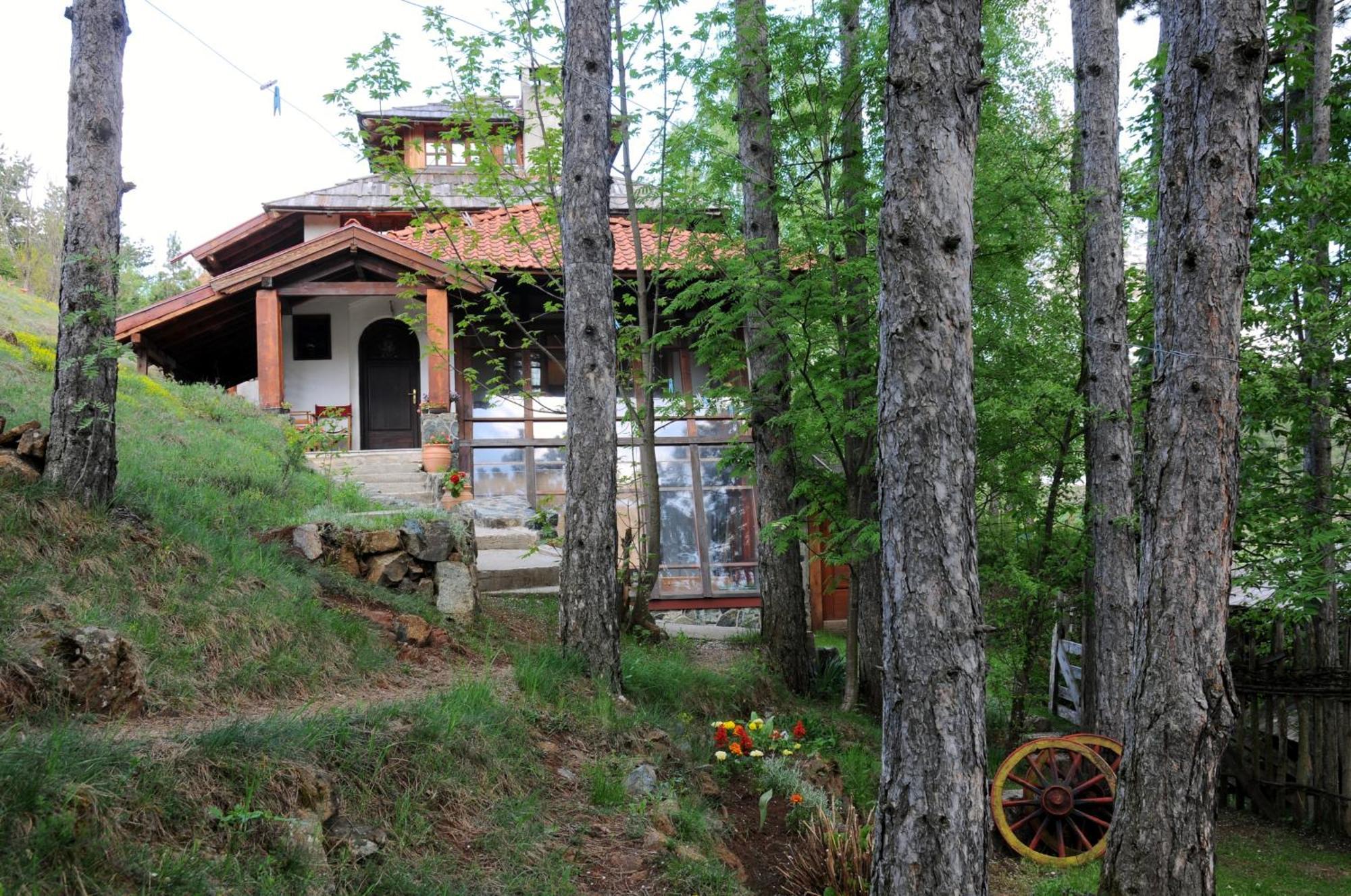 Apartments Carevo Polje Zlatibor Kültér fotó