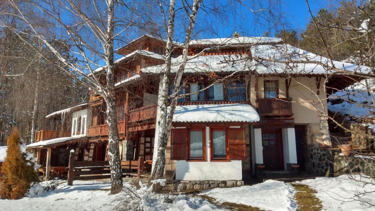 Apartments Carevo Polje Zlatibor Kültér fotó